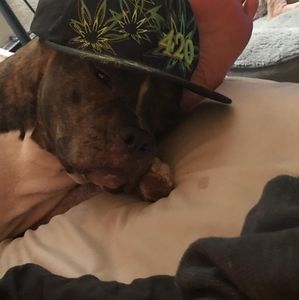 Meet your Posher, Shawn